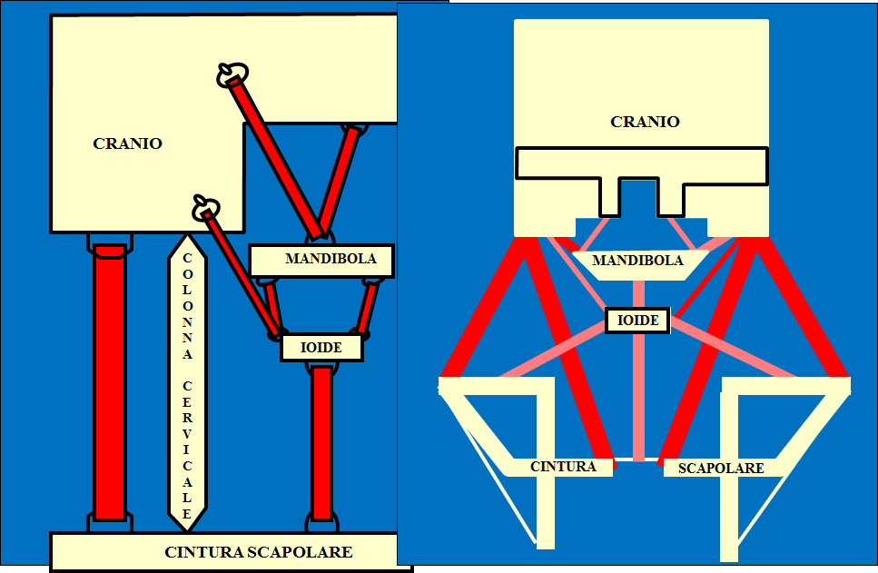 Fig.2 schema di Brodie